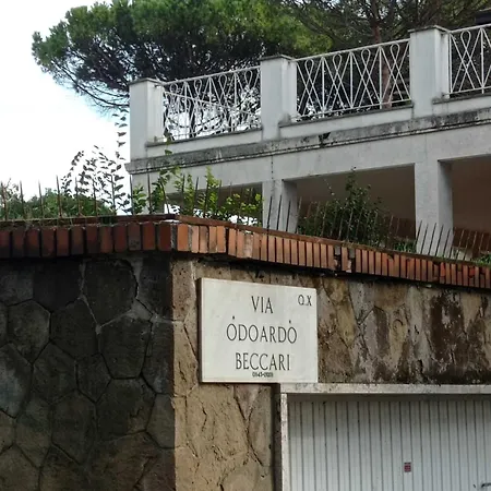 Boutique Maximus Pensjonat